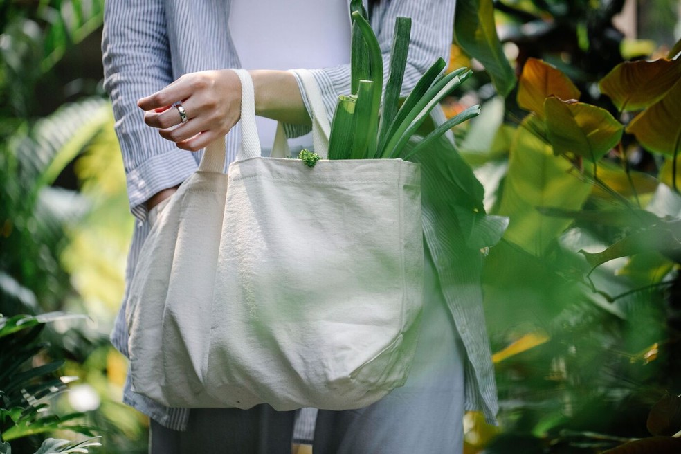 A ecobag é um utensílio do dia a dia que já faz parte da rotina de muitas pessoas. O que nem todo mundo sabe é que ela também exige cuidados para transportar alimentos com segurança — Foto: Pexels/Sarah Chai/Creative Commons